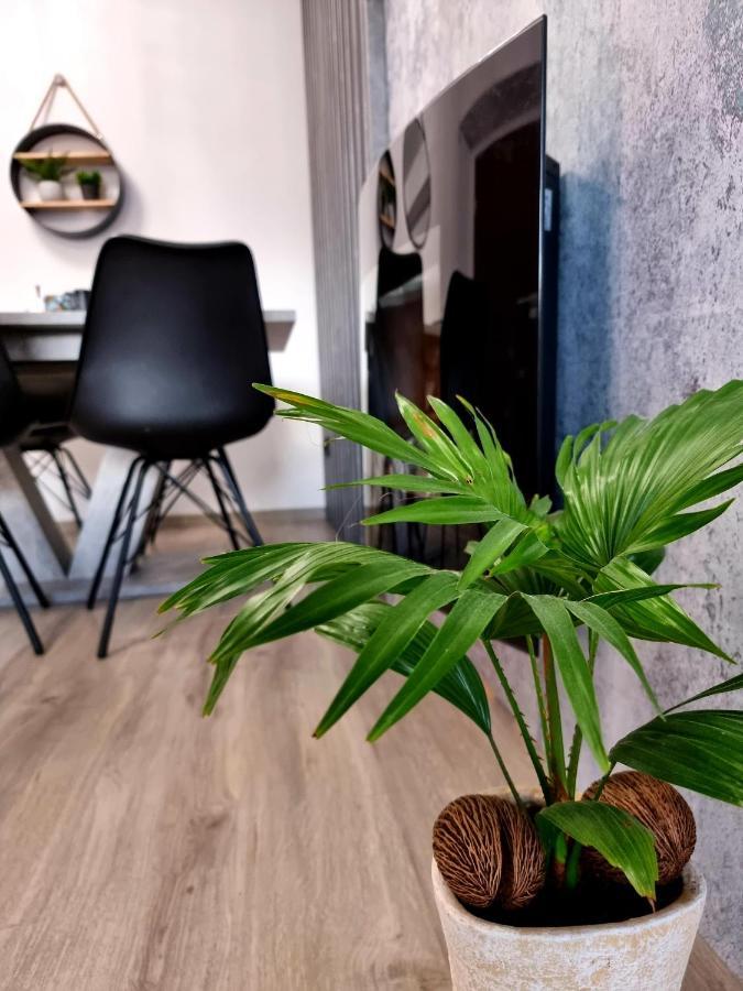 Apartament Jelonek W Karkonoszach Еленя-Гура Экстерьер фото