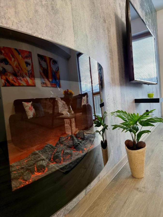 Apartament Jelonek W Karkonoszach Еленя-Гура Экстерьер фото