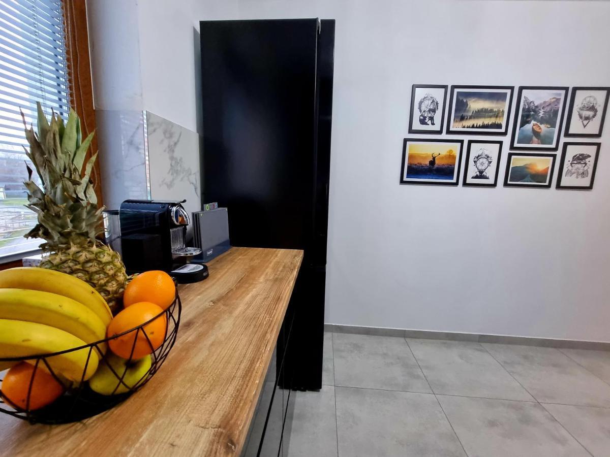 Apartament Jelonek W Karkonoszach Еленя-Гура Экстерьер фото