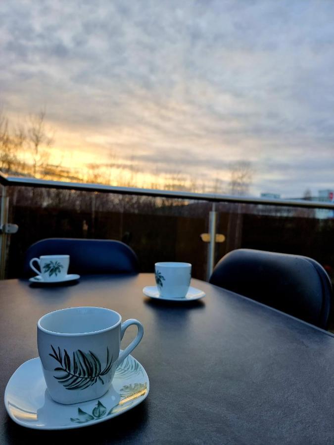 Apartament Jelonek W Karkonoszach Еленя-Гура Экстерьер фото