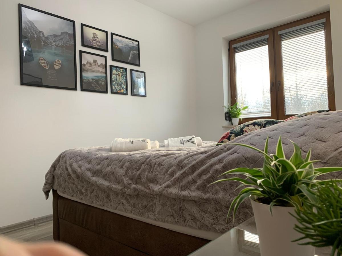 Apartament Jelonek W Karkonoszach Еленя-Гура Экстерьер фото